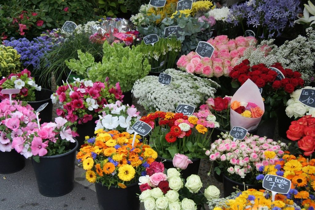 Bloom Floristry